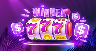 dn88win